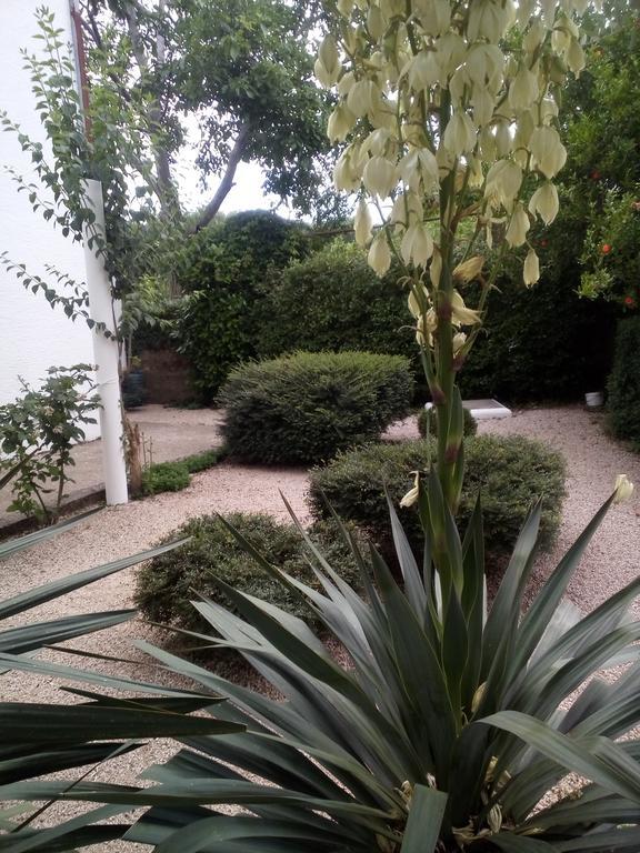 Rooms Nikola Rule Ostojic Bed & Breakfast *
