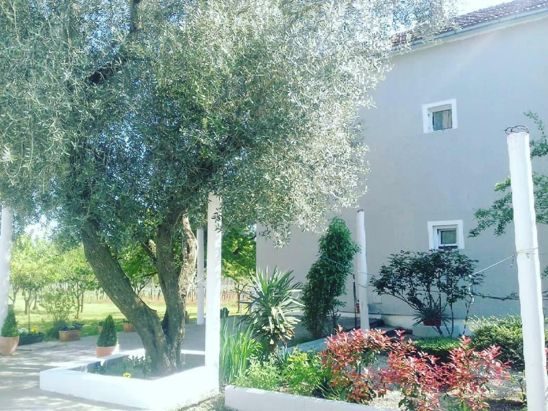 Bed & Breakfast Nikola Rule Ostojic Međugorje