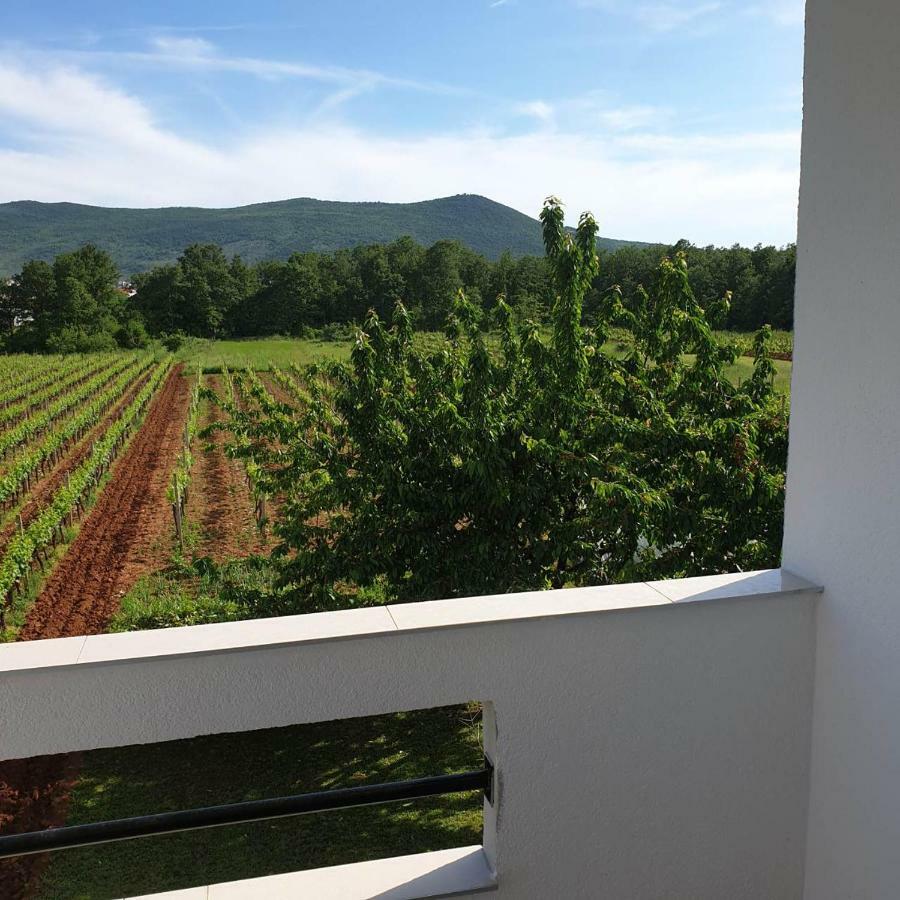 Rooms Nikola Rule Ostojic Bed & Breakfast